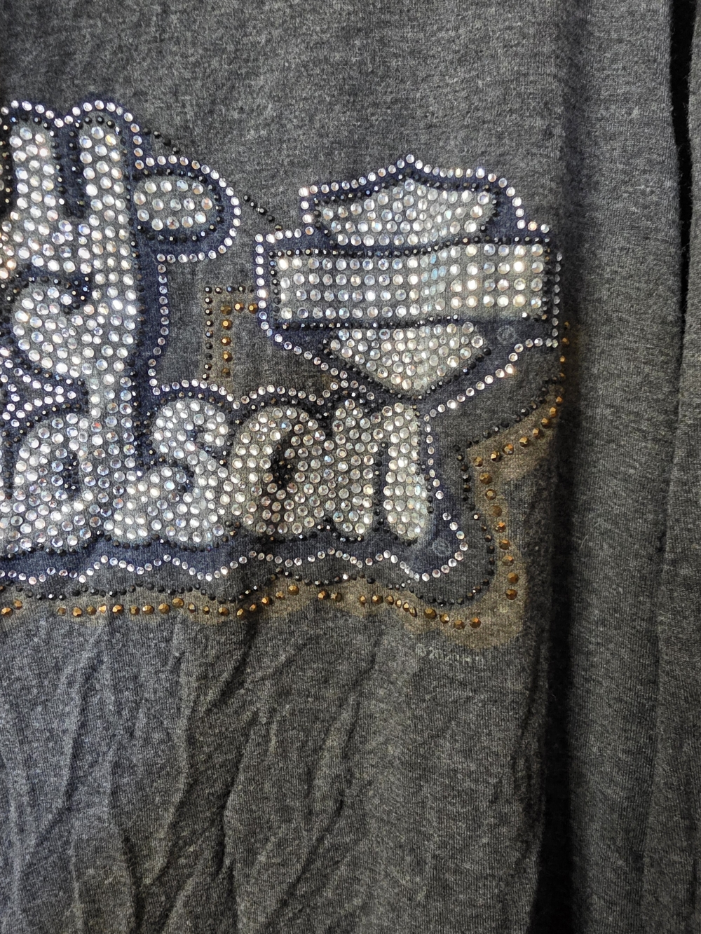 Harley-Davidson Dark Gray Hooded Long Sleeve Blouse with Rhinestone Logo - Picture 2 of 10